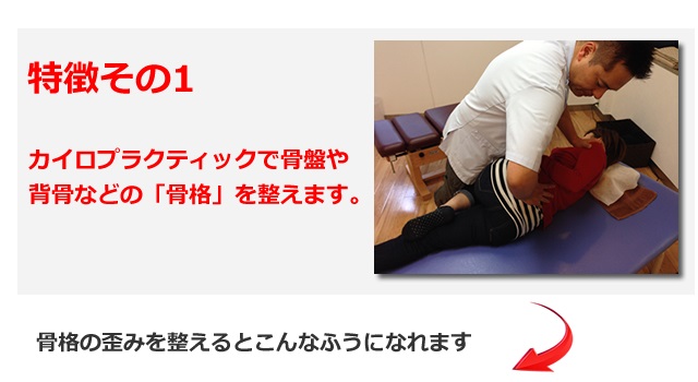 AKB���̂̓������̂P�E�J�C���v���N�e�B�b�N�Ŕw���⍜�Ղ̍��i�𐮂��܂�